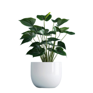 Gossy white big pot