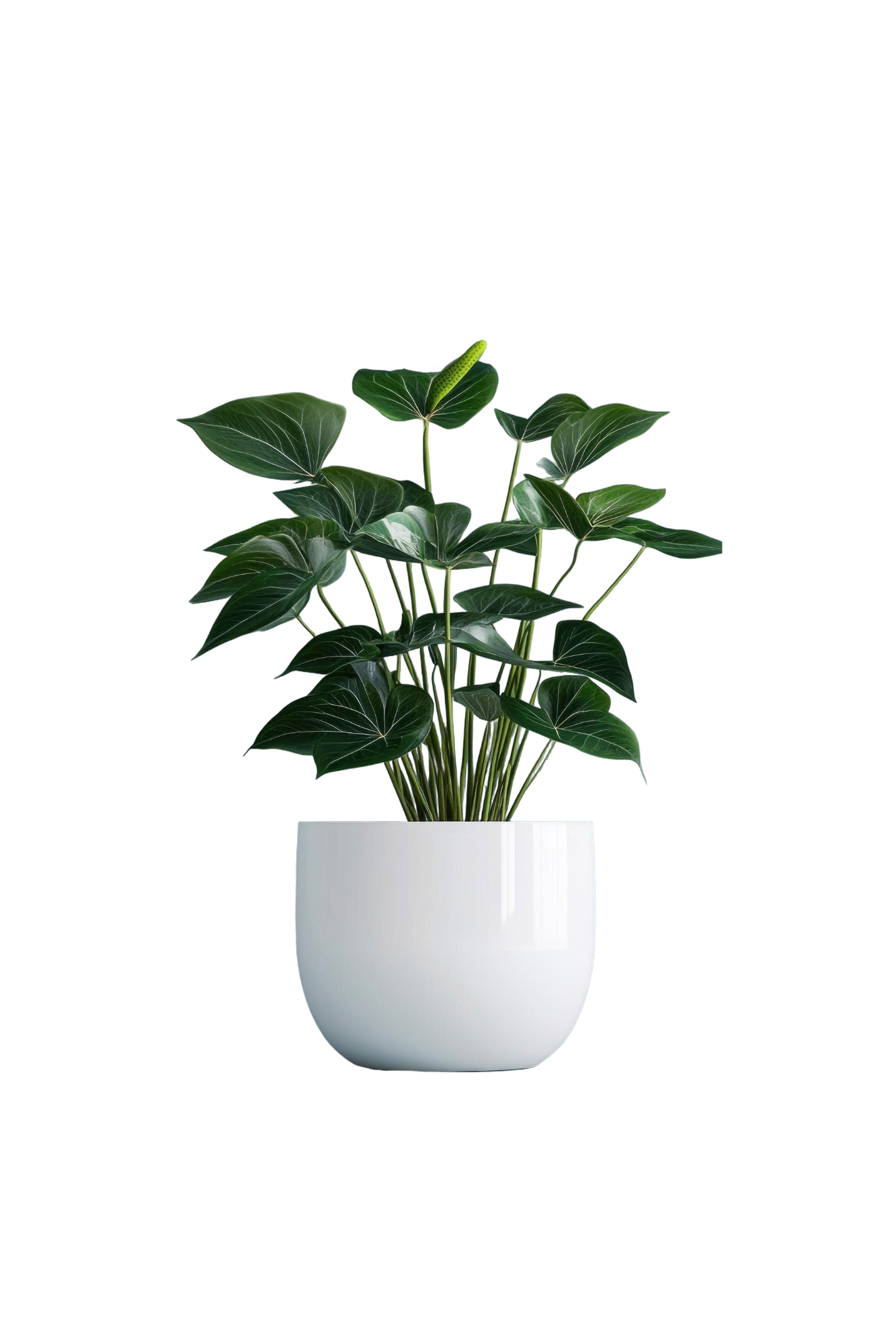 Gossy white big pot