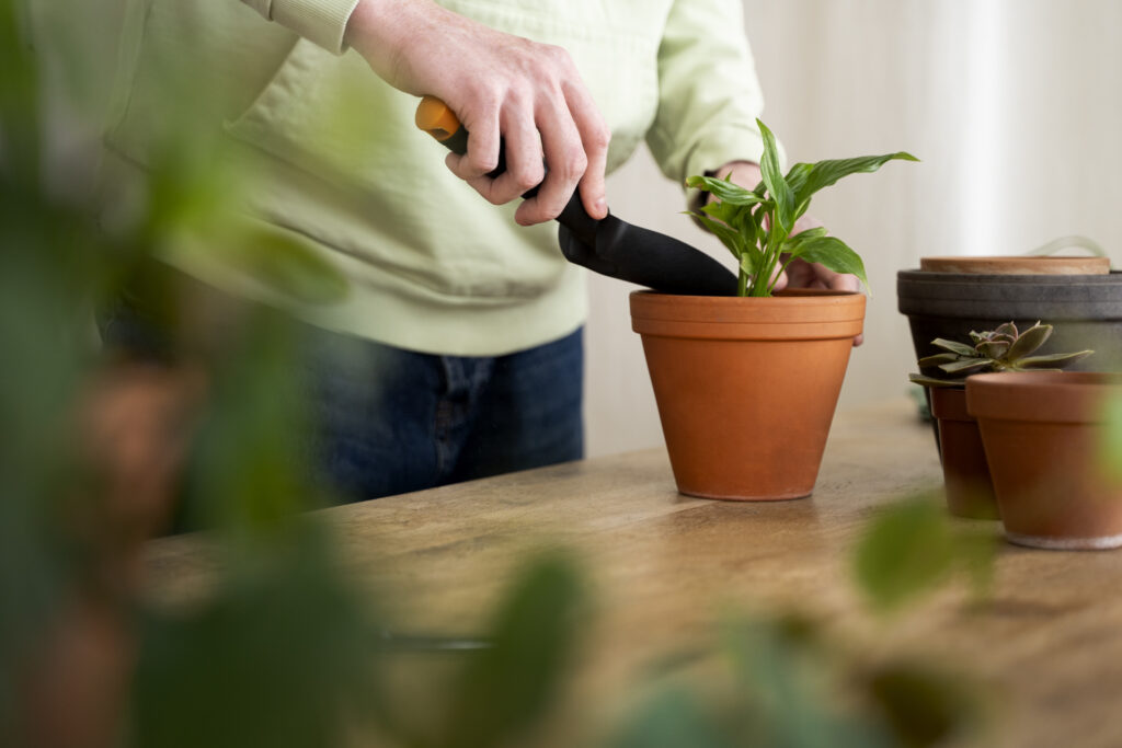 planting kits