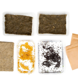 primary school planting experiment kit