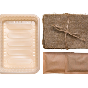 primary school planting experiment kit mini