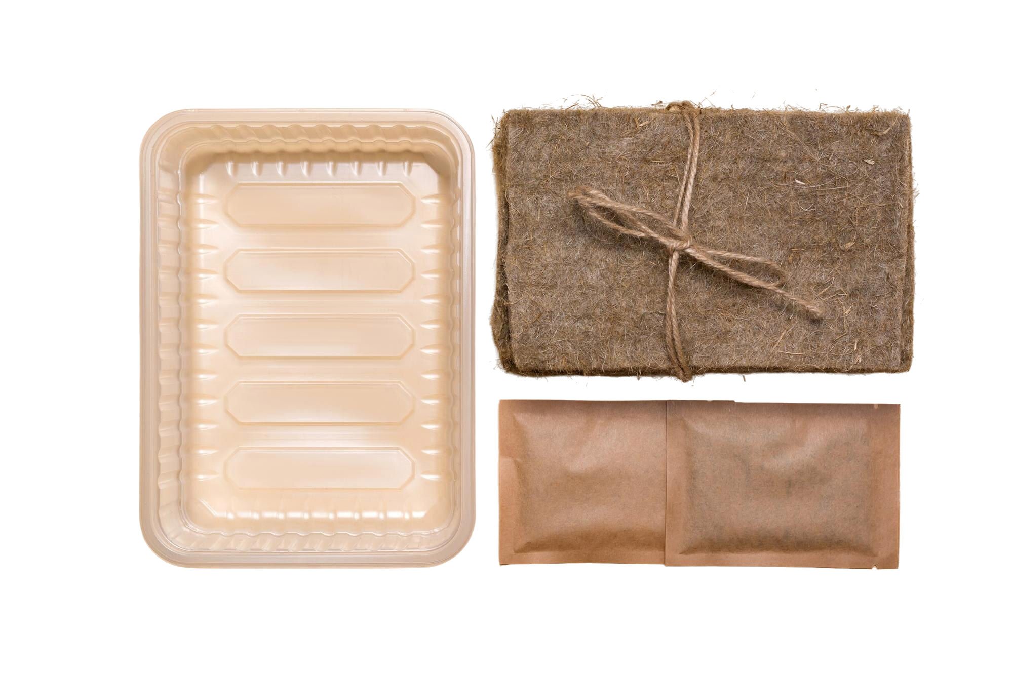 primary school planting experiment kit mini