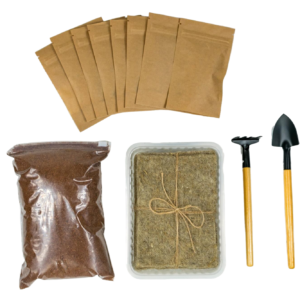 secondary school planting experiment kit