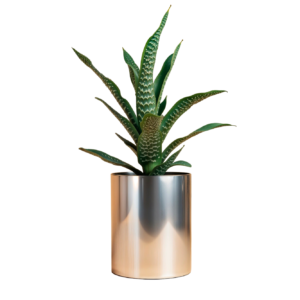 steel refelctive pot