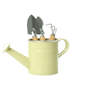 watering can and tools